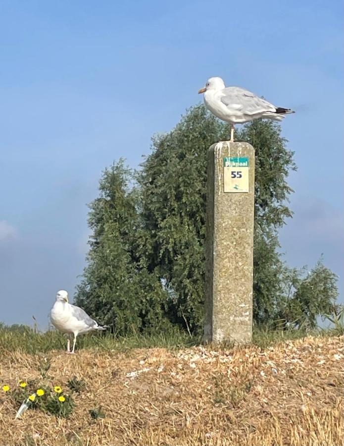 Cote Jardin Villa Serooskerke  Bagian luar foto